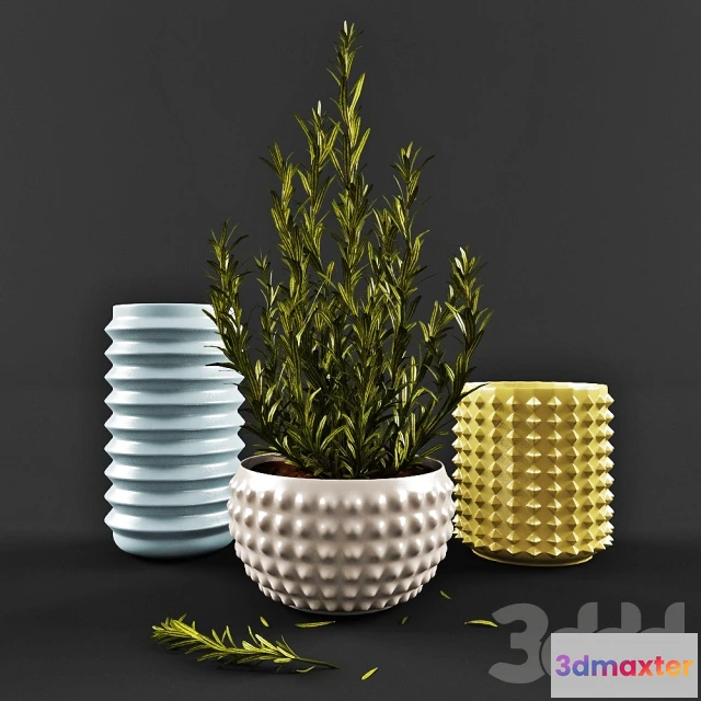 1104160 - Розмарин - 237717