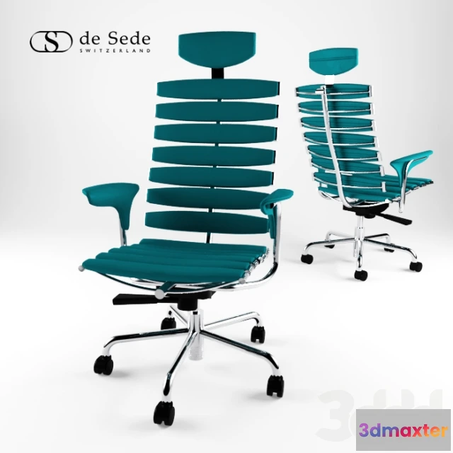 1104624 - Скелет de sede - 238181