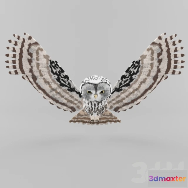 1104702 - Сова - 238259