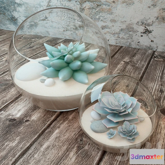 1105808 - Суккуленты - 239365