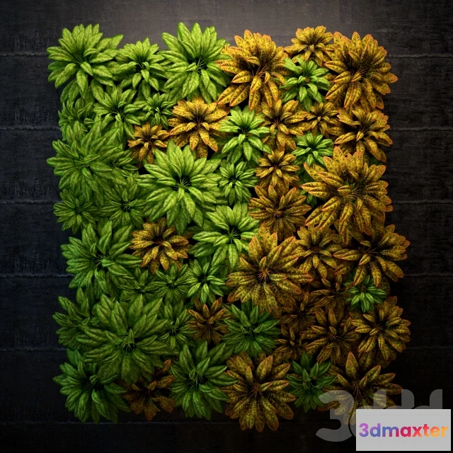 1106512 - Фитостена - 240069