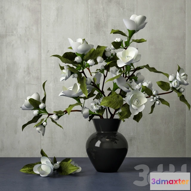 1106646 - Цыеты - 240203