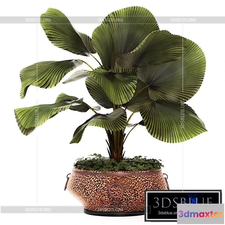 1237744 - 3DSKY MODELS - NEW - 7125