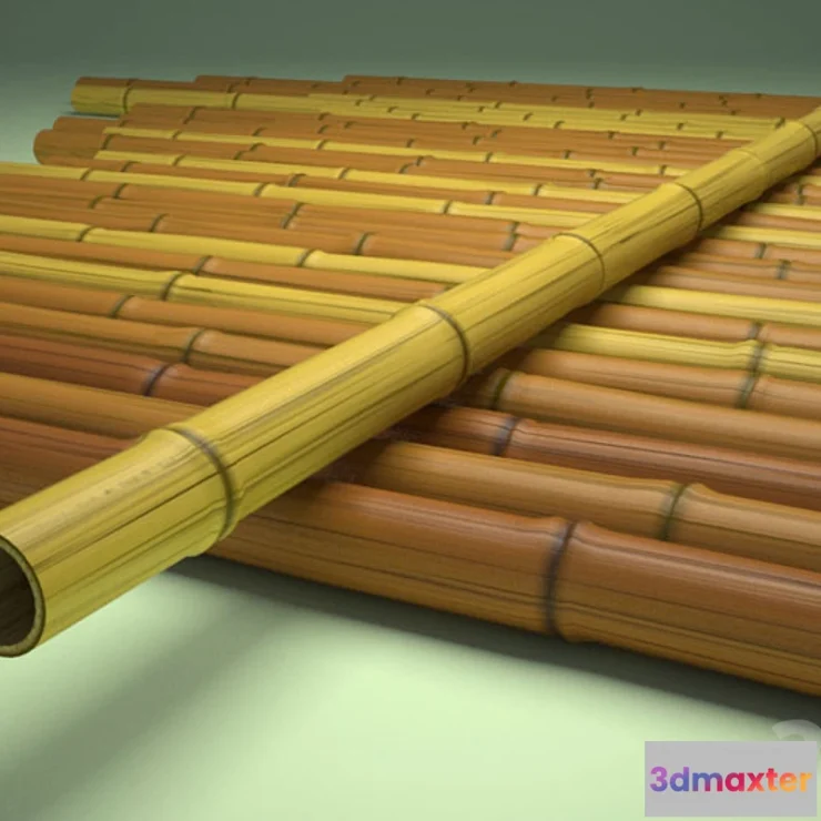 1267195 - Bamboo 3D Max