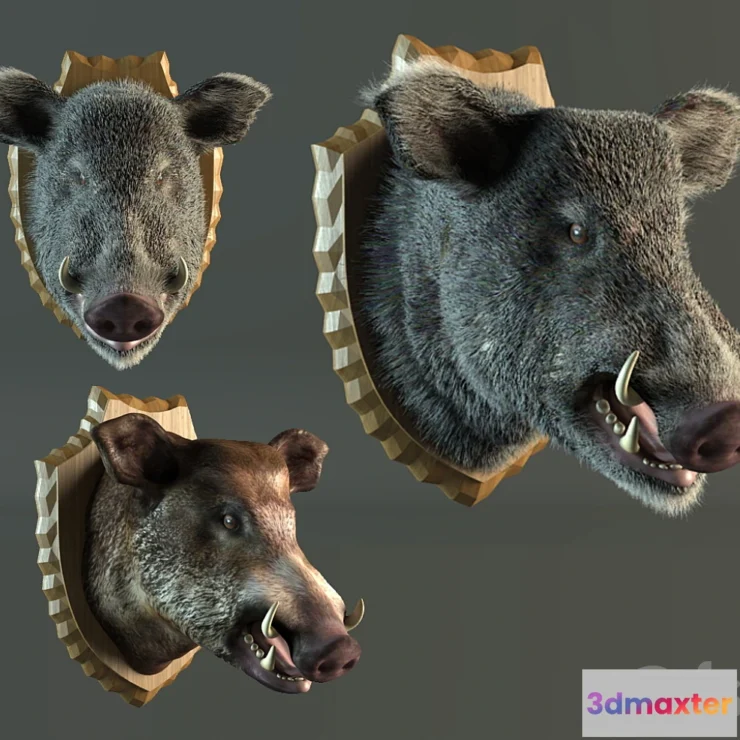 1268418 - stuffed wild boar 3D Max