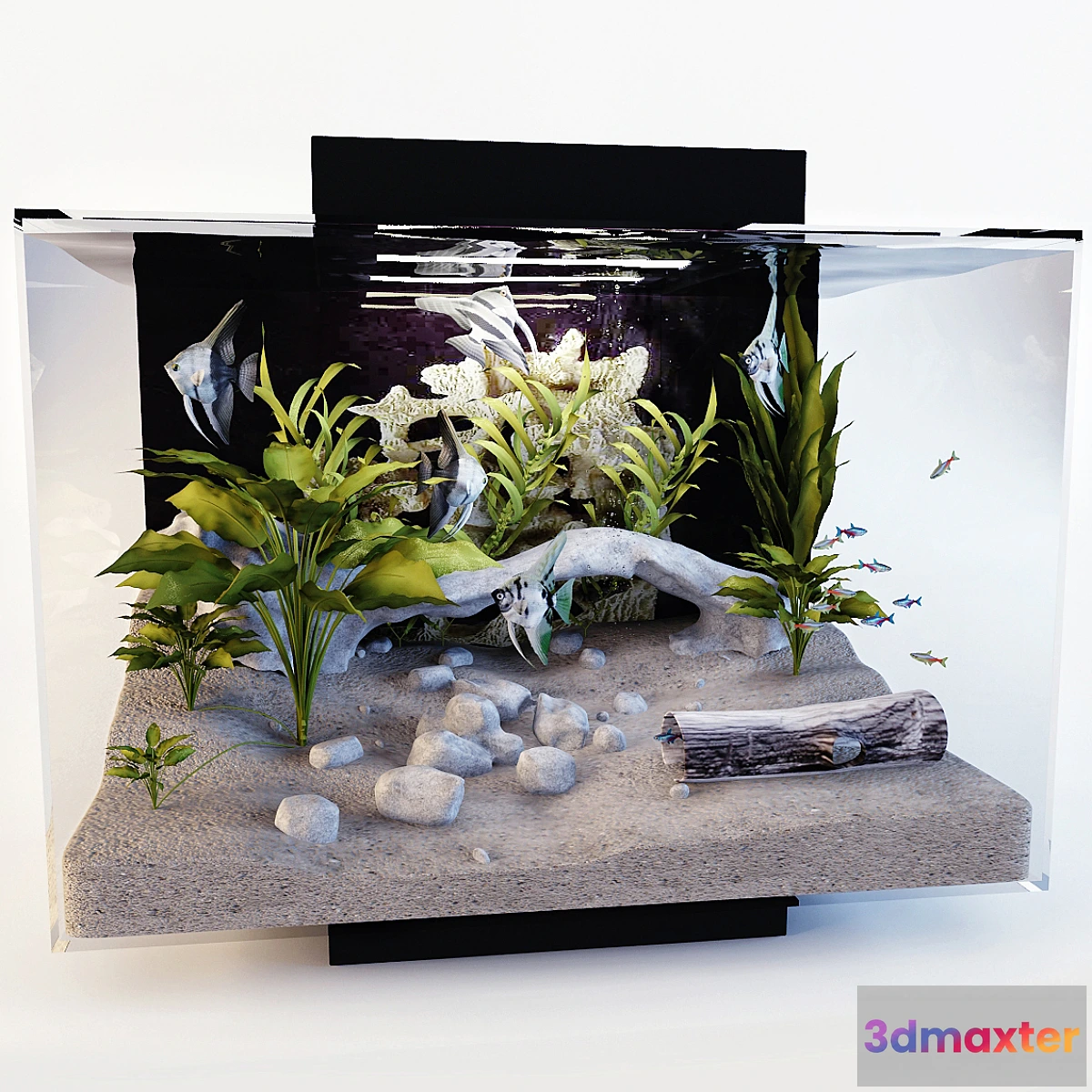 1273250 - Aquarium - No.2 3D Max
