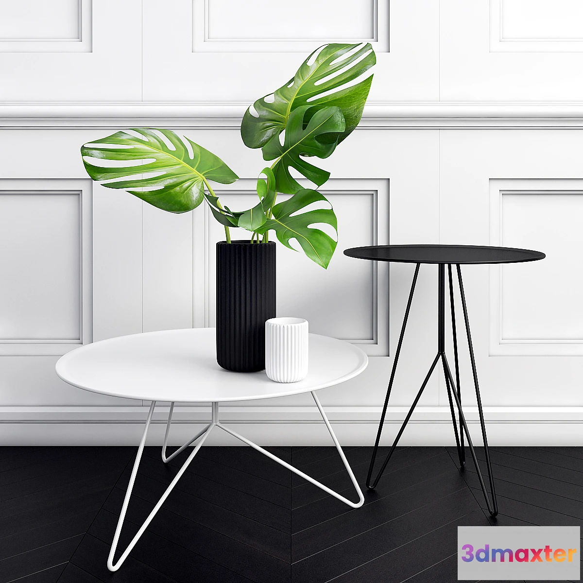 1284280 - Philodendron 3D Max