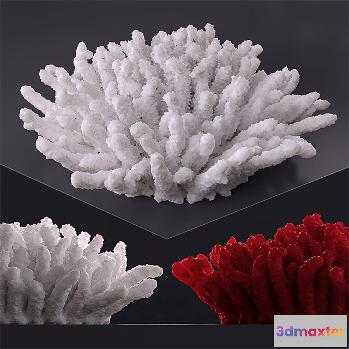1288886 - Decorative coral - No.2 3D Max
