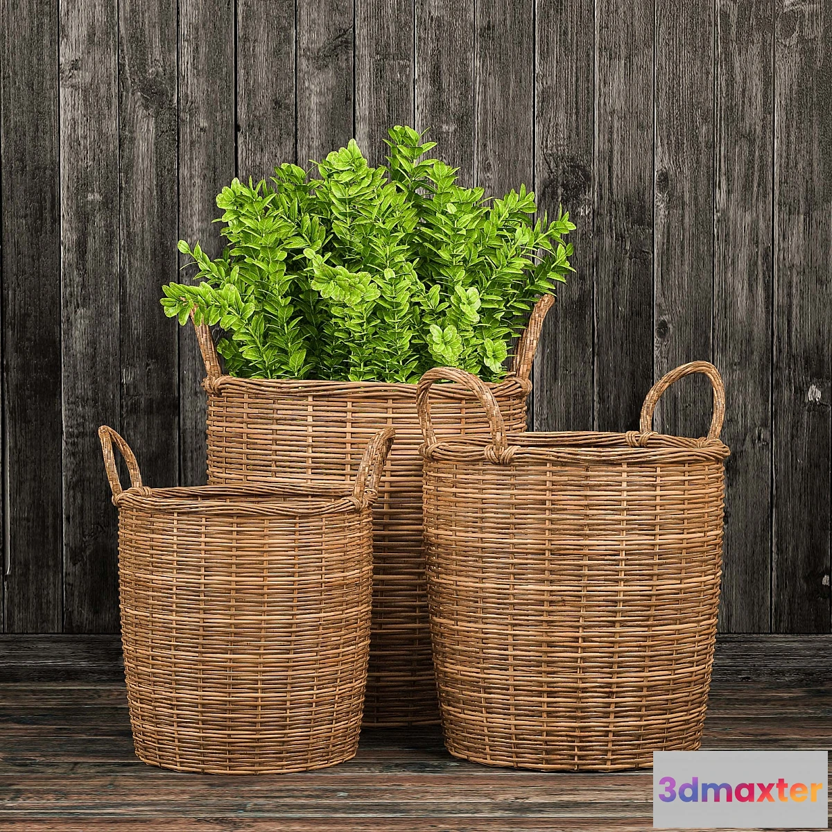 1289414 - Basket with plants 3D Max