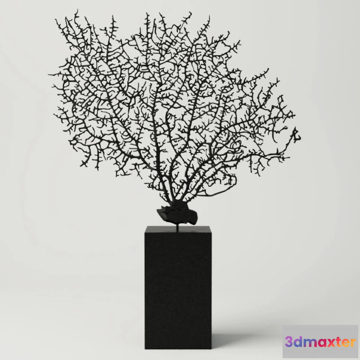 1291073 - Black Gorgonaria Decoration 3D Max