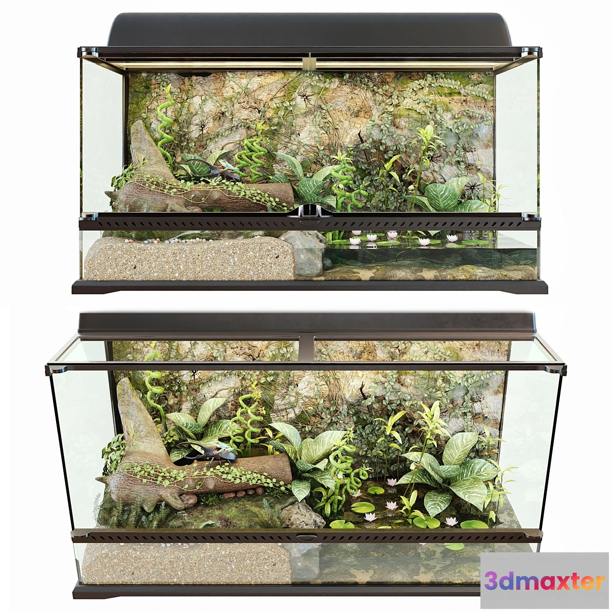 1302186 - Terrarium - No.2 3D Max