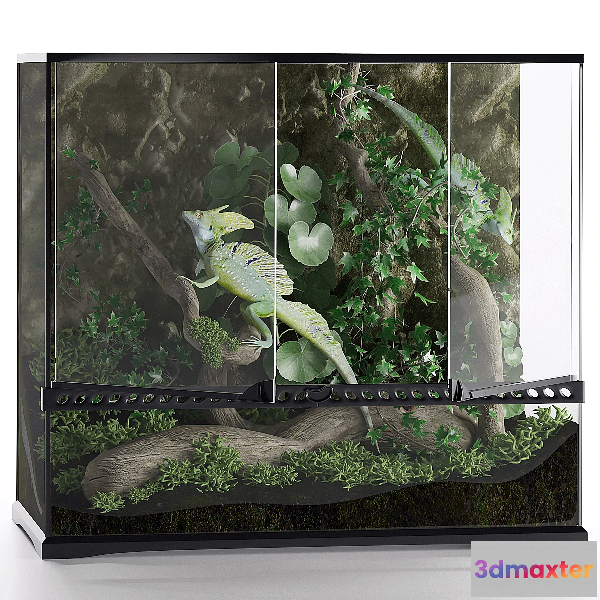 1314093 - Terrarium Basilisk 3D Max