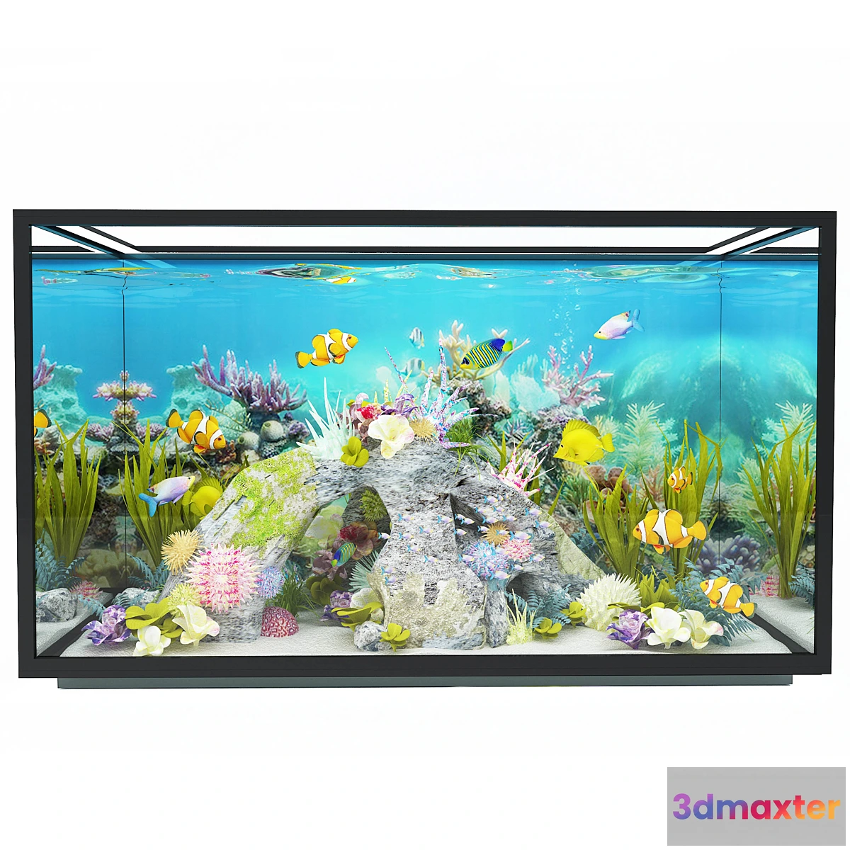 1326236 - new modern aquarium 3D Max