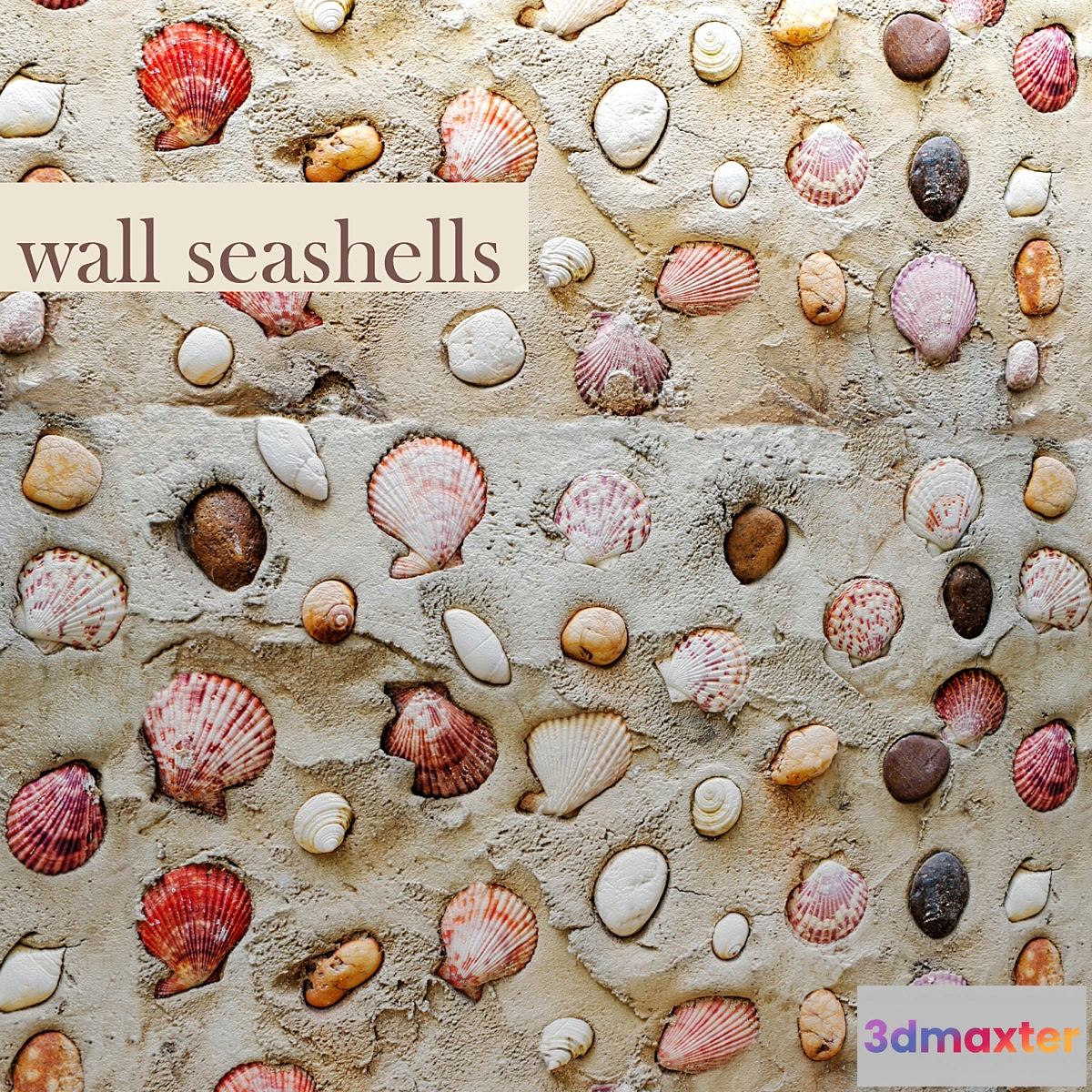 1403840 - Wall with seashells. 3D Max