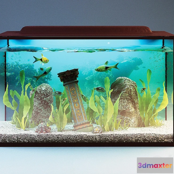 1404820 - Aquarium 3D Max