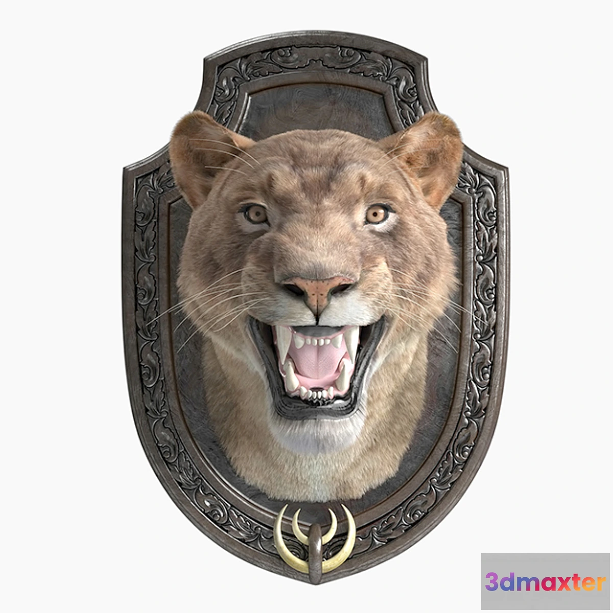 1404988 - a lion 3D Max