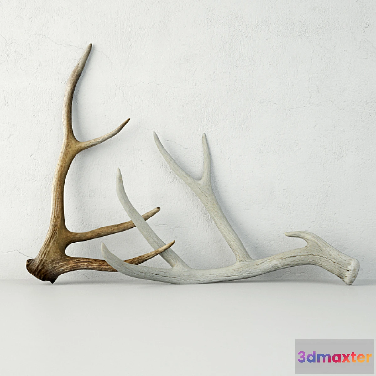 1410408 - Deer Antlers 3D Max