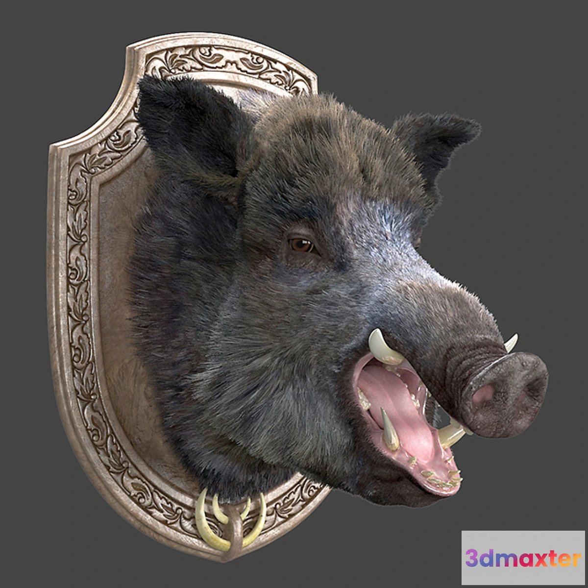 1414982 - A wild boar 3D Max