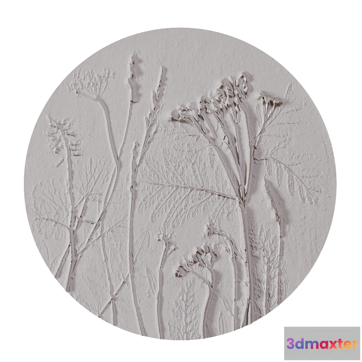 1416012 - Decorative panel Tanacetum. Gips Fix. 3D Max