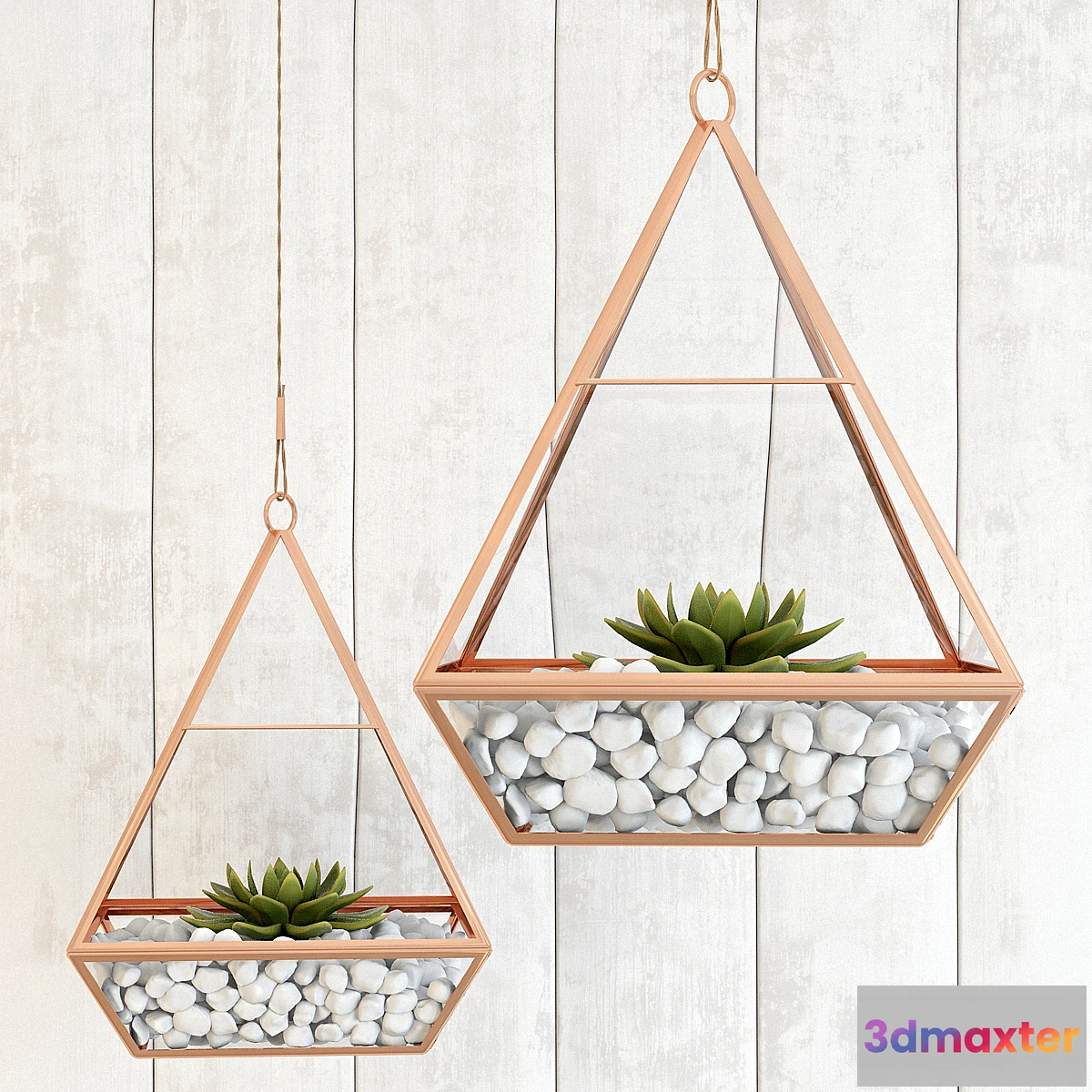 1446804 - Pedant succulents 3D Max