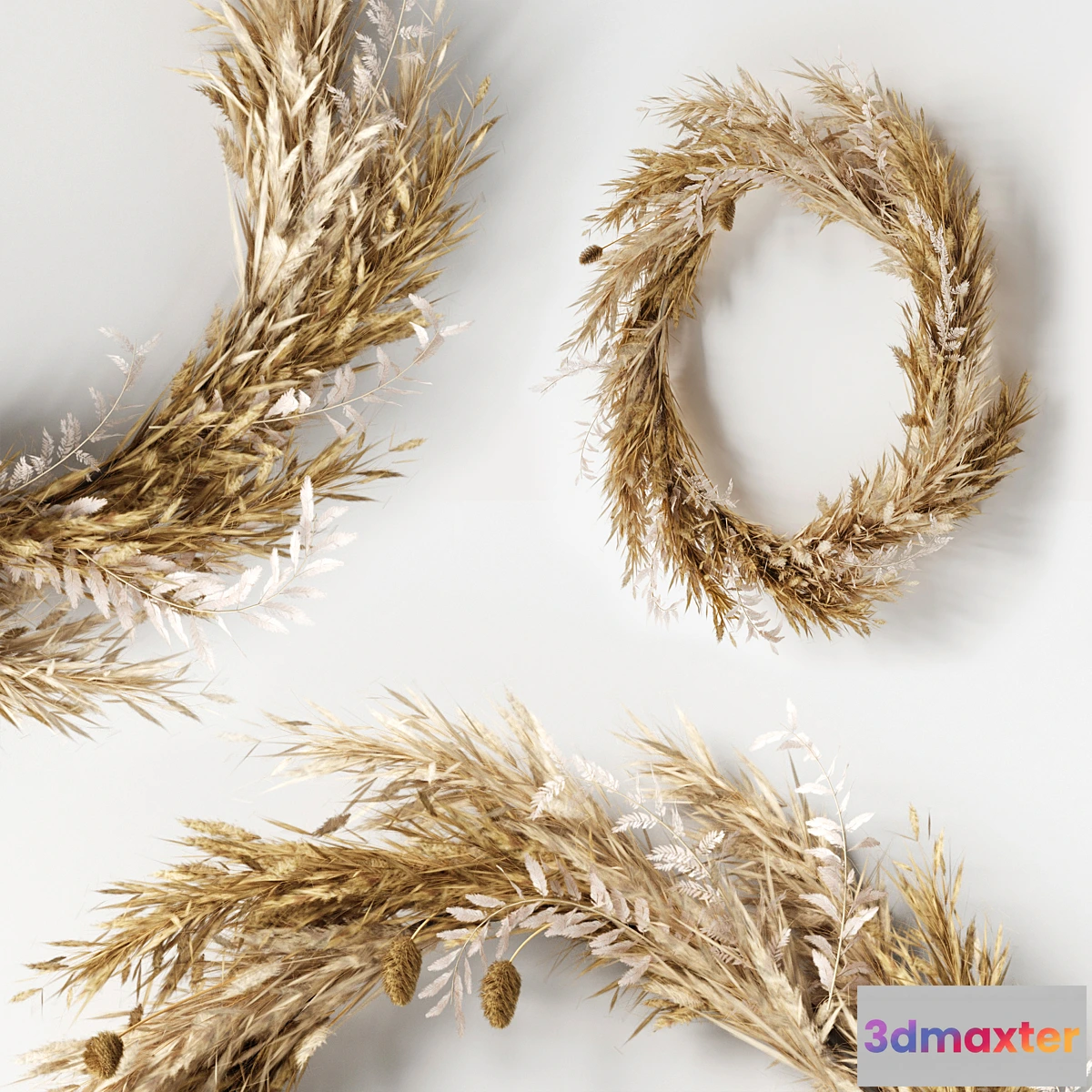 1448660 - Wall hanging Pampas Ring-01 3D Max