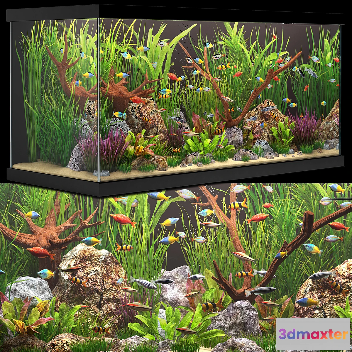 1455920 - Aquarium 3D Max