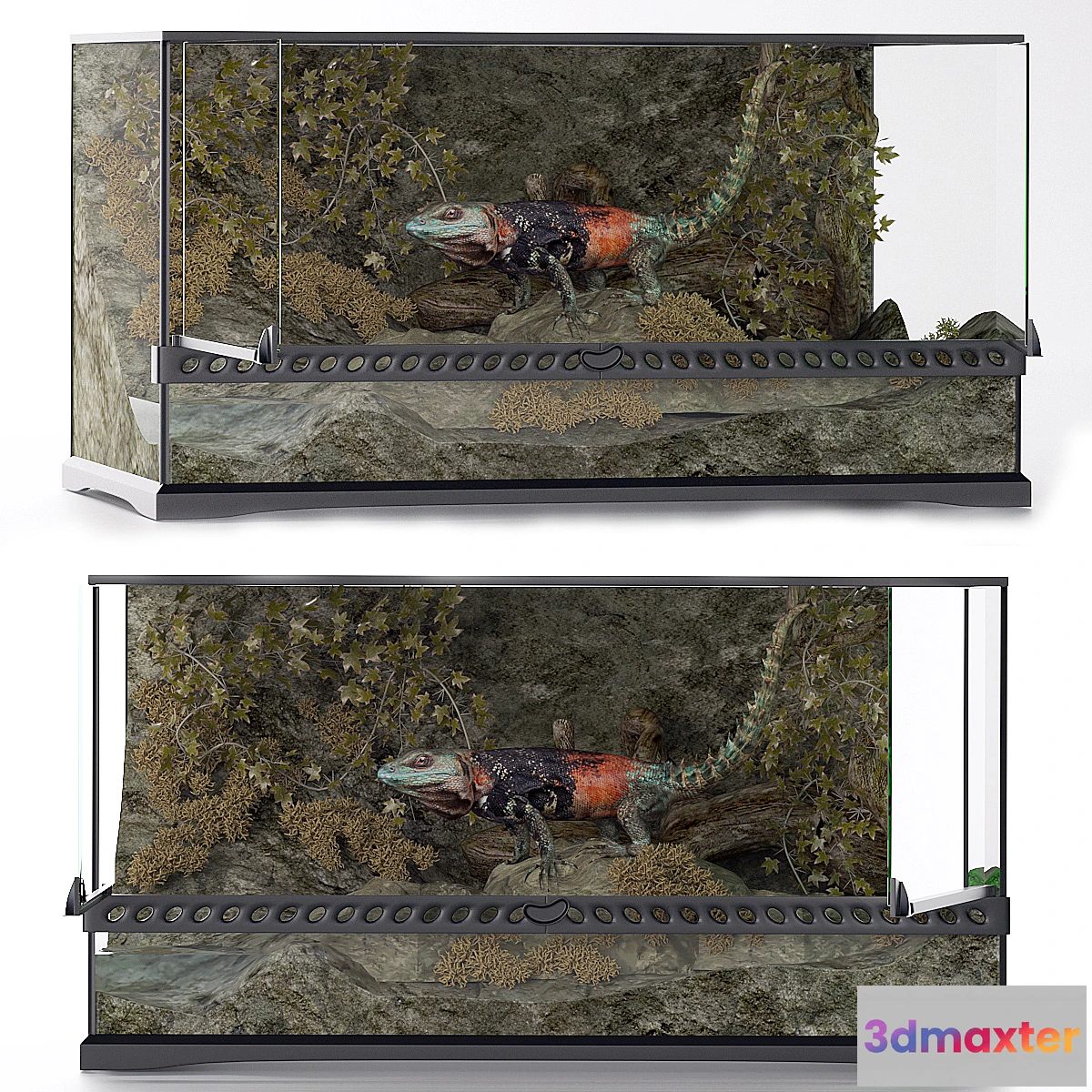 1461156 - Terrarium iguana 3D Max