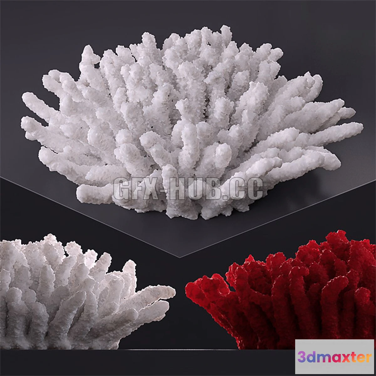 1541353 - Decorative coral 3D Max