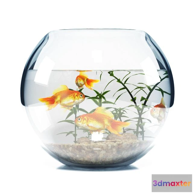 1548323 - BOWL AQUARIUM 3D Max