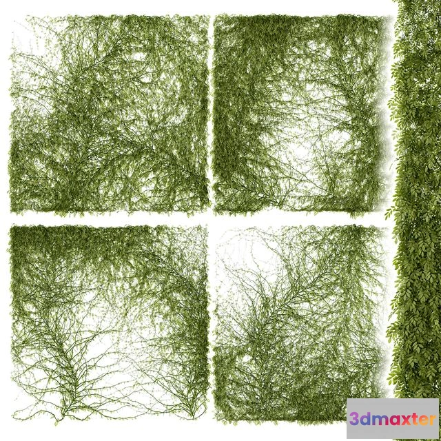 1558465 - Leaves for walls 3D Max