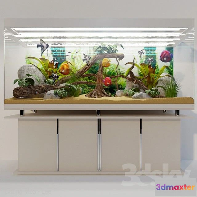 1561092 - Aquarium Tropiki 3D Max