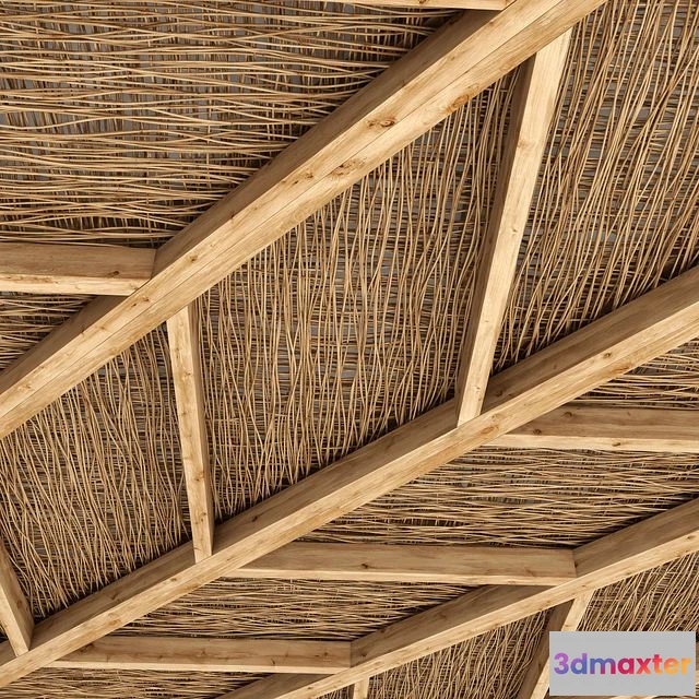 1562865 - Ceiling branch thin angle n1 3D Max