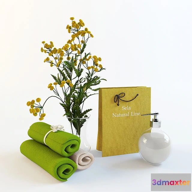 1563017 - Flower set accessories paper organics 3D Max