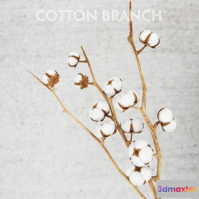 1564008 - cotton threads 3D Max