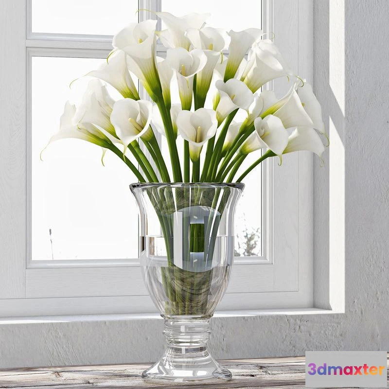 1567816 - Calla Lily 4 3D Max