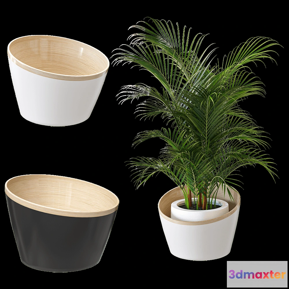 1601230 - Montly - Planters for flowers MON25 3D Max