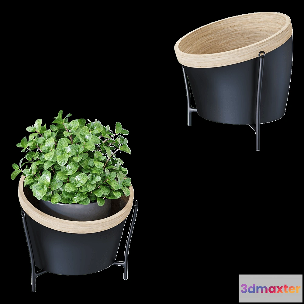 1601234 - Montly - Planters for flowers MON15 3D Max