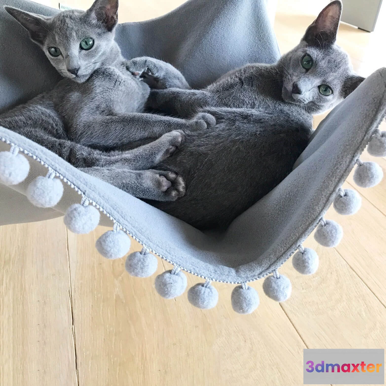 1601276 - Saveplace - Saveplace 8 3D Max