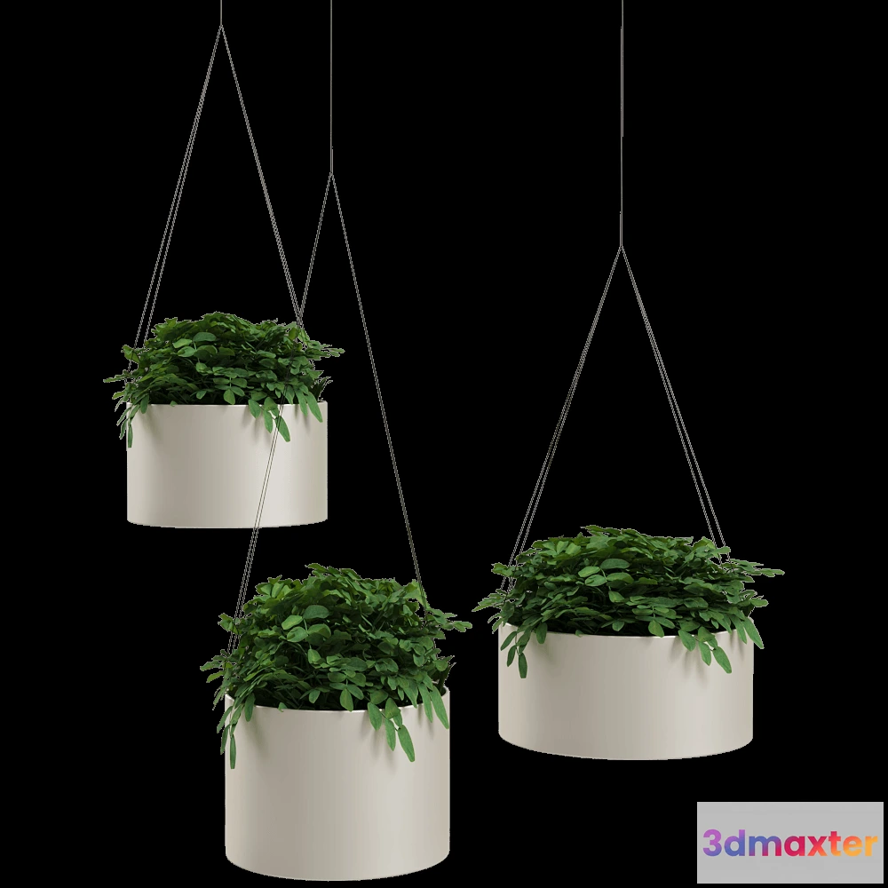 1601306 - Systemtronic - Plant pots Green Cloud 3D Max