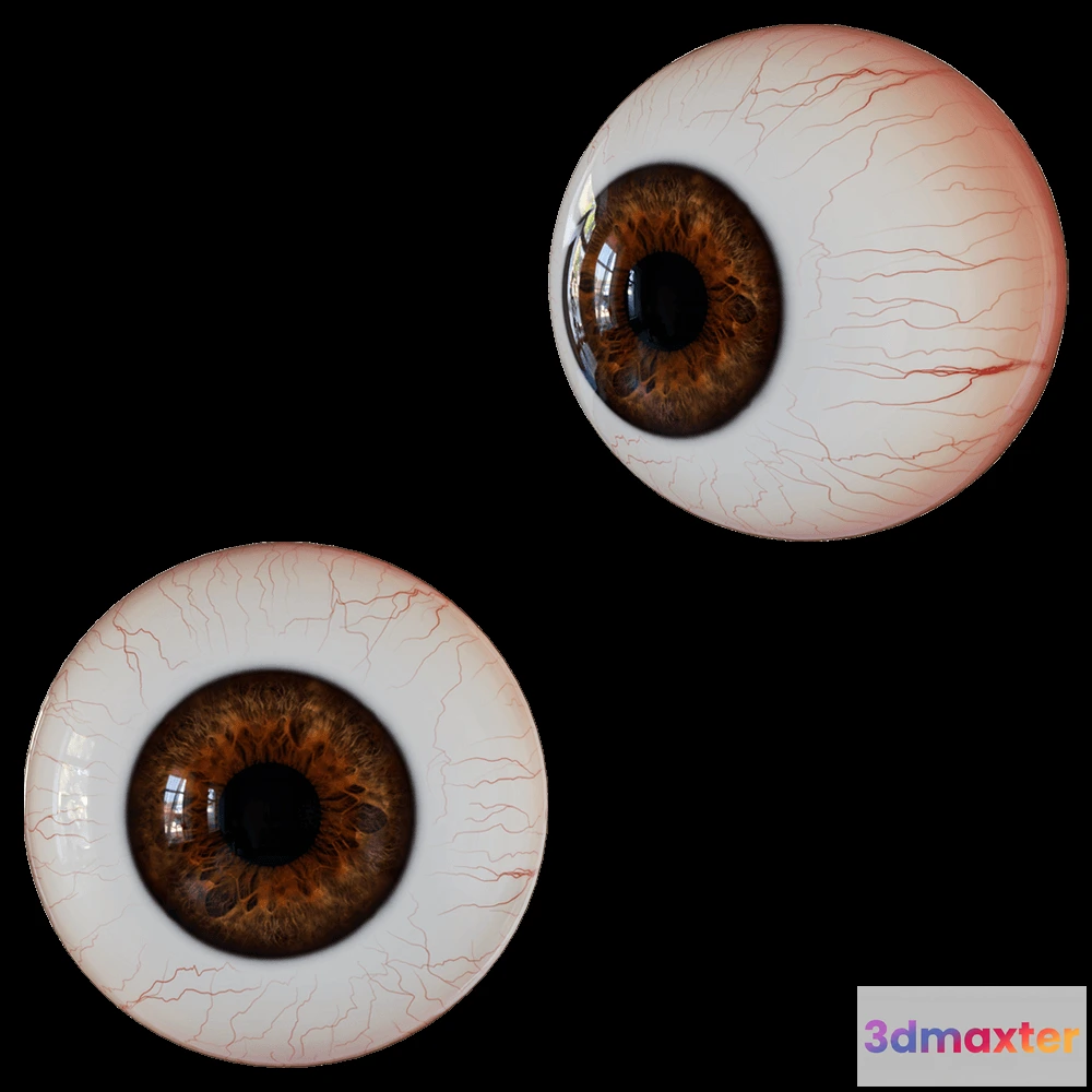 1601390 - decoration - Eyeball 3D Max