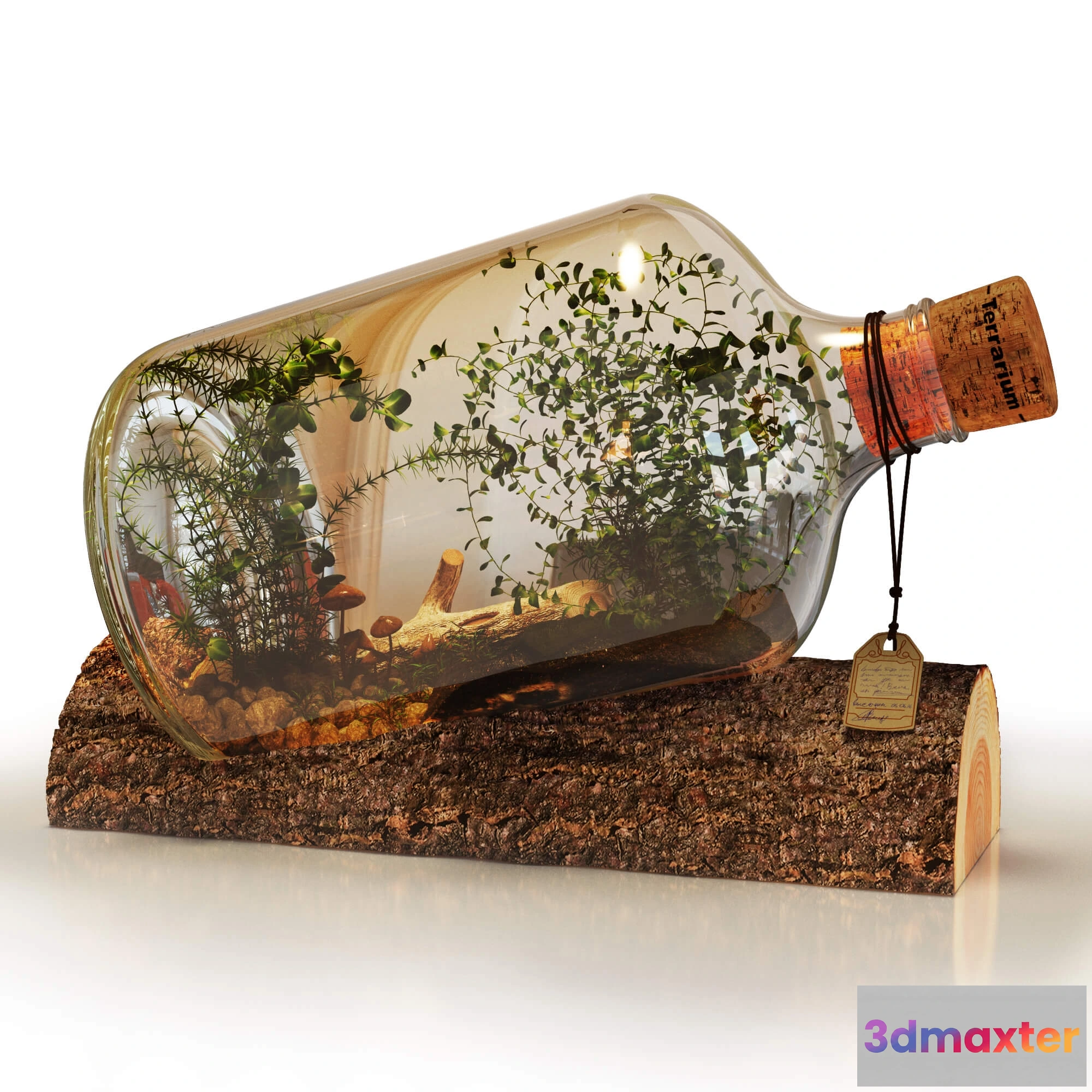 1601450 - decoration - Terrarium decorative object 01 3D Max