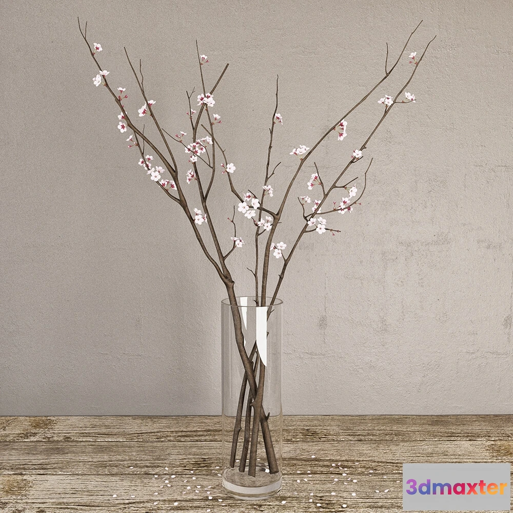 1601510 - decoration - Cherry branches 3D Max