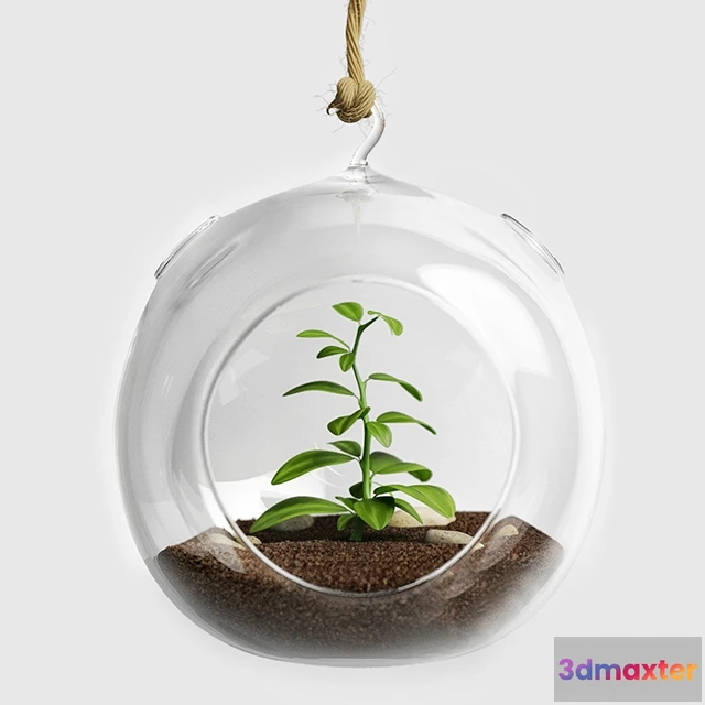1601658 - decoration - Terrarium for herbs 3D Max