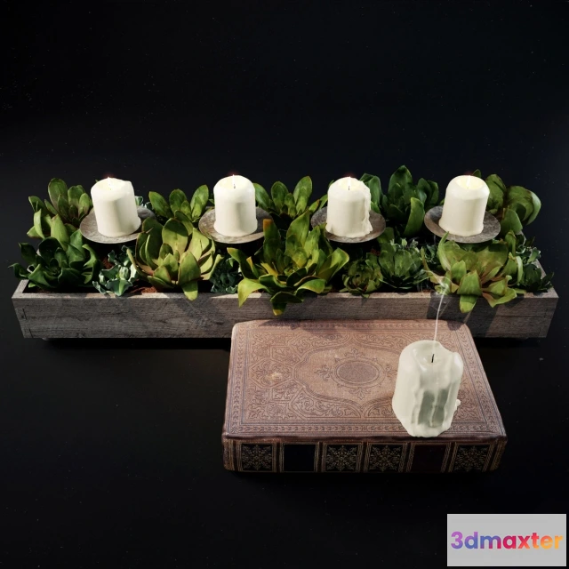 1601980 - decoration - Decor with candles 3D Max