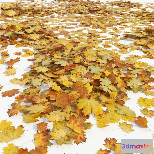 1601992 - decoration - Autumn maple leaves 3D Max