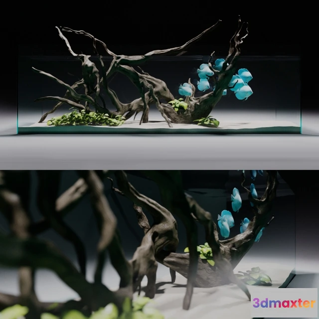 1602008 - decoration - Aqua-hardscape 3D Max