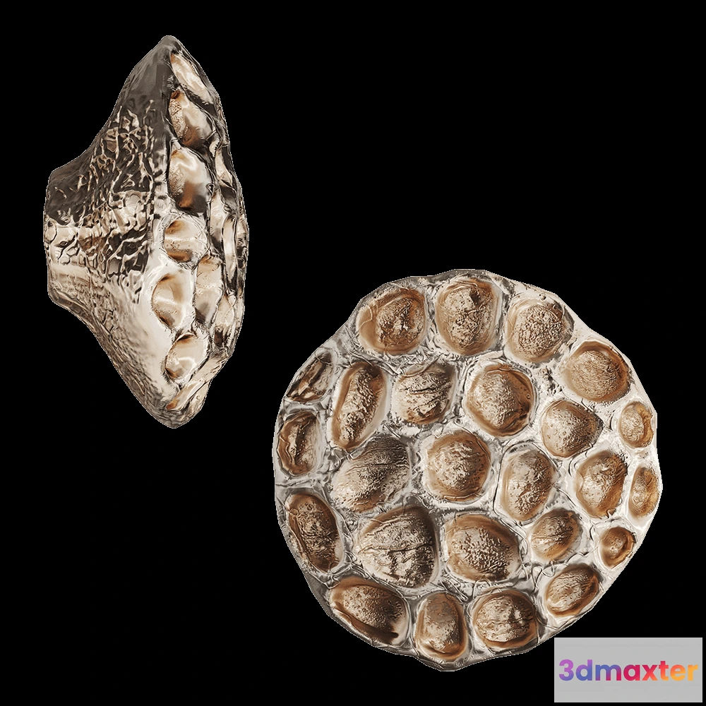 1602142 - Vetvi - Earth 3D Max