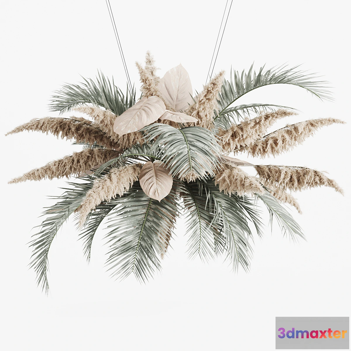 550031 - Hanging decor of palm leaves and pampas grass