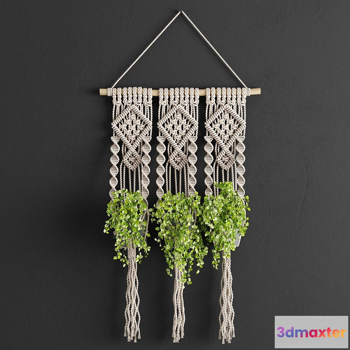 550101 - Macrame Planter