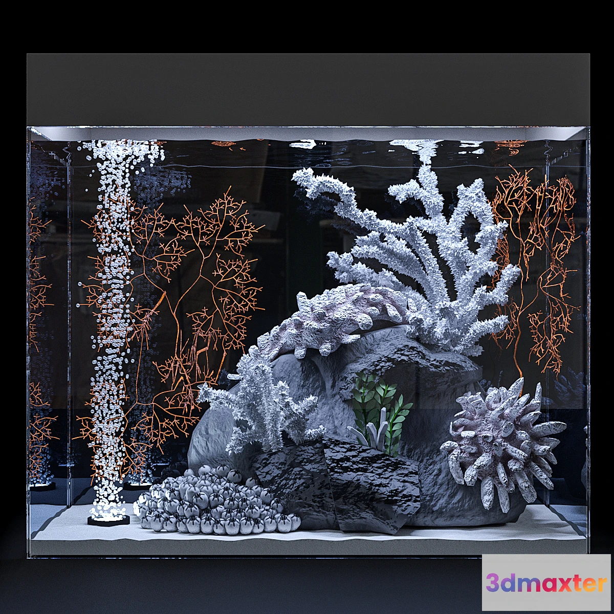 550237 - Marine aquarium